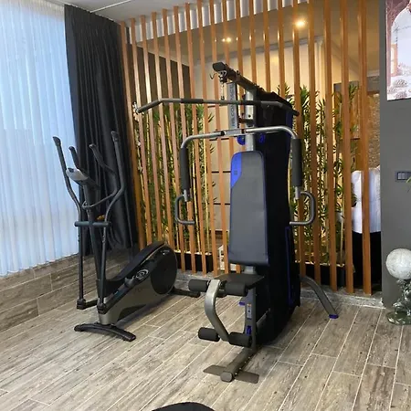Aparthotel Fenix Loft *